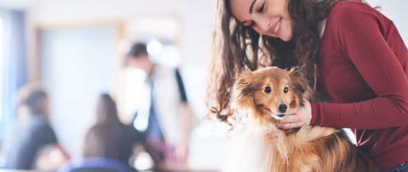 Un chien maintenu délicatement par une personne souriante