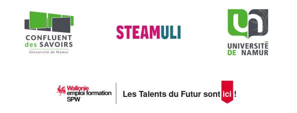 Projet STEAMULI