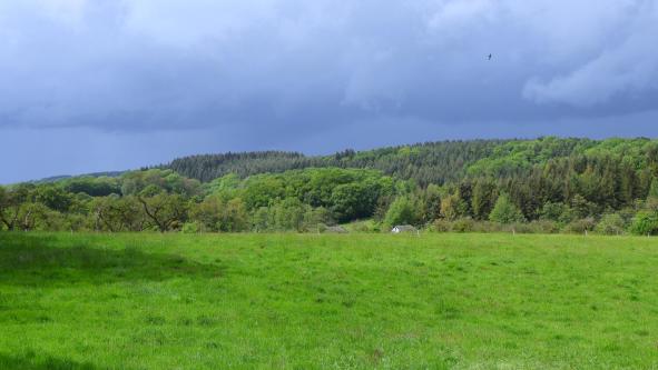 Domaine d'Haugimont - vue paysage du domaine