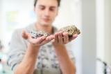 Etudiant en géologie
