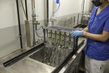 Un maître d'expérience au travail dans un laboratoire