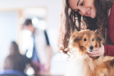Un chien maintenu délicatement par une personne souriante