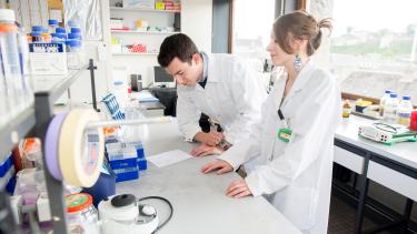Sciences études 