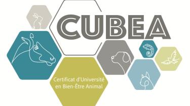 Certificat en bien-être animal (CUBEA)