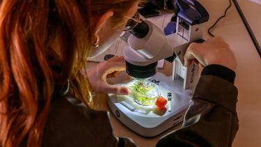 Atelier scolaire sur les mousses