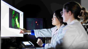 Master in molecular microbiology