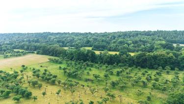 Certificat en développement durable