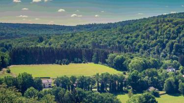 Certificat en développement durable
