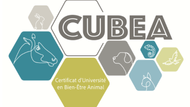 Certificat en bien-être animal (CUBEA)