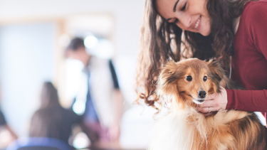 Un chien maintenu délicatement par une personne souriante
