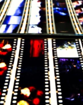 Section - Cinéma
