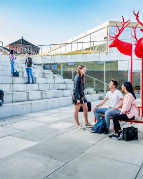 Immersion trilingue en droit - UNamur -UHasselt