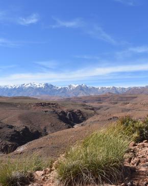 Paysage