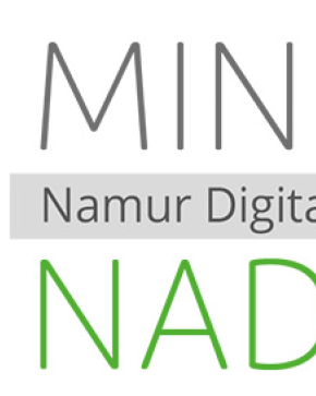 Logo MINDIT NaDI