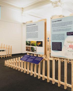 Exposition Santé de nos rivières : en péril ?