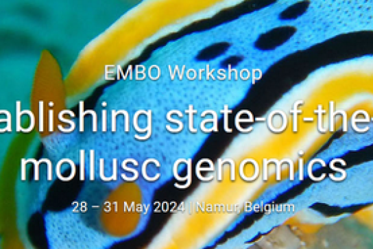 Affiche EMBO workshop 