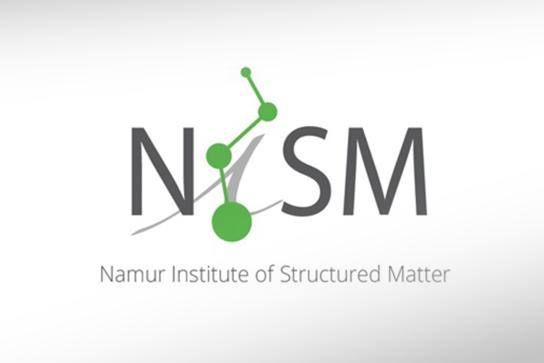 Logo institut de recherche NISM