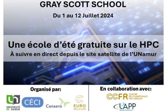 Affiche pour l'école d'été Gray-Scott