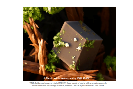 Calcium carbonate crystals; Subject: Cubic crystal of calcite with aragonite nanorods; Method/Instrument: JEOL7500F