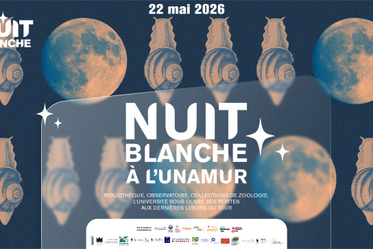 Nuit Blanche Namur 2026