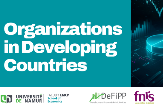 Affiche événement Organizations in Developing Countries