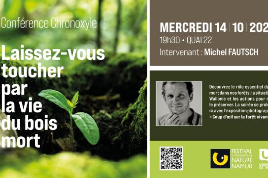Chronoxyle - affiche