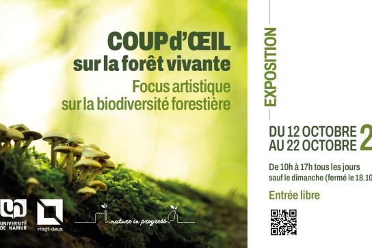 Visuel de l'exposition Chronoxyle