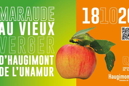 Maraude au vieux verger du Domaine d'Haugimont - édition 2026