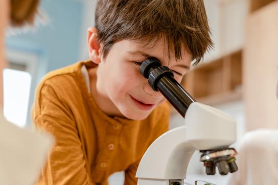Vulgarisation Scientifique