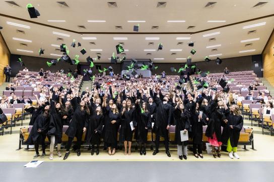 Diplomation