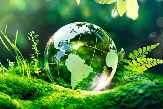 Lyreco Sustainable Customer Award 2023