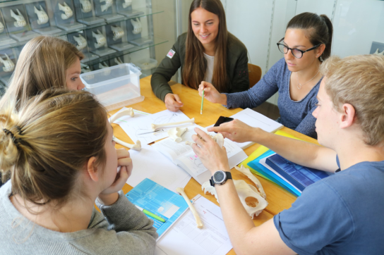 Des étudiants en classe autour d'une table