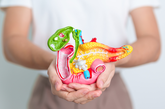 pancreas